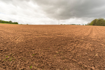 Red soil agriculture field