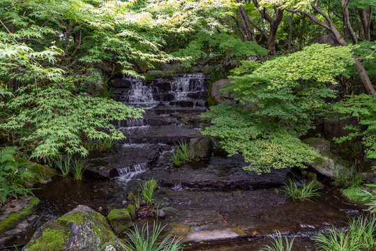 Kokoen Garden in Himeji, Japan