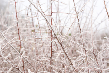 Winter weather UK