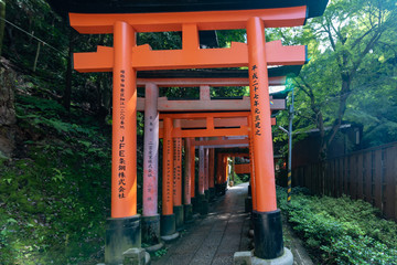 Fototapeta na wymiar Torii gates in Fushimi Inari Shrine