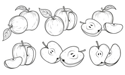 Set of apples. Black and white hand drawn vector illustration. Sketches and engravings apples composition.