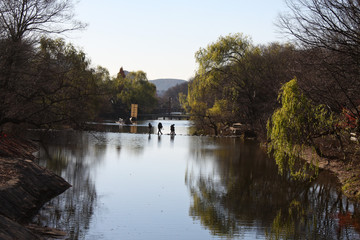 Obraz premium autumn in the park