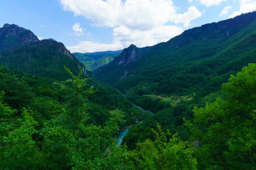 Tara River and Canyon