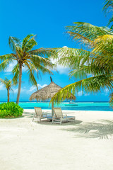 Naklejka na ściany i meble Beautiful sandy beach with sunbeds and umbrellas in Indian ocean, Maldives island