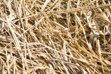 background of straw