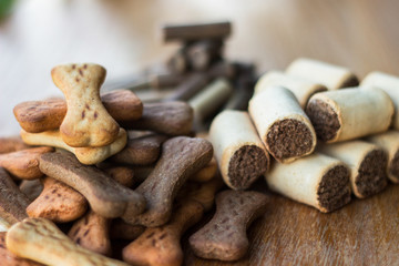 Dog food, multi colored