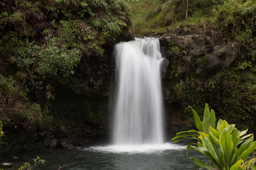 Fototapeta na wymiar Waterfall on the Road to Hana in Maui