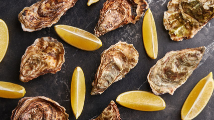 Seafood pattern of oysters and lemon
