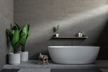 Obraz na płótnie Canvas Gray bathroom, white tub
