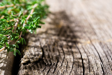 creeping thyme spice fresh leaves on old wooden table