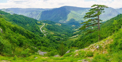 Fototapeta premium Tara River Canyon