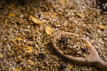 wooden spoon with oats, cereal and seeds.