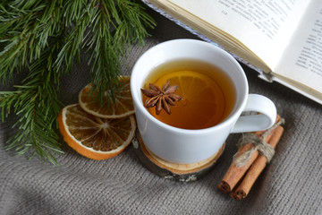 Cup of lemon tea book cinnamon fir branch Winter holidays concept Cozy home
