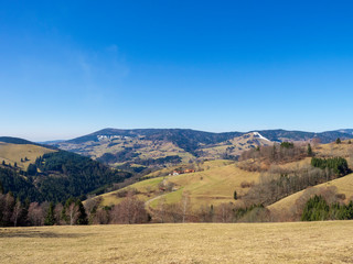 Fototapeta premium Paysage de Forêt-Noire dans le Bade-Wurtemberg en Allemagne. Fröhnd 