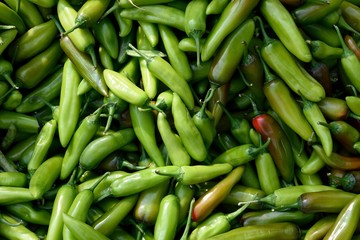 Green Chilli stock photos and royalty-free images, vectors and ...