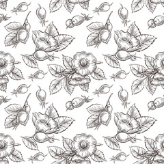 Seamless pattern with dog rose