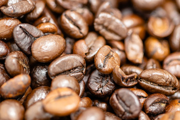 Fototapeta premium detail of coffee beans