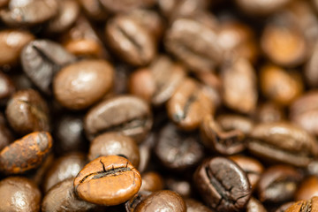 pile of coffee beans