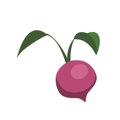 fresh onion vegetarian food