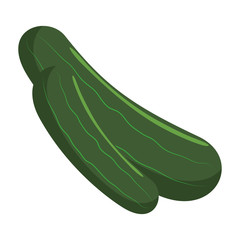 fresh cucumbers vegetarian food
