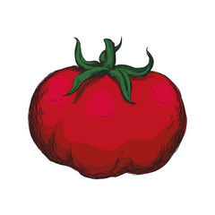 fresh tomato vegetarian food