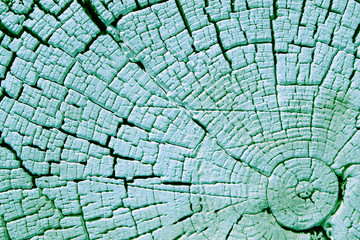 The old wood texture with natural patterns. Cross-section of the old tree. Abstract background of an old wooden wall with a bright texture. paint watercolor pastel