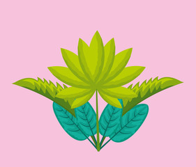 tropical natural leaves