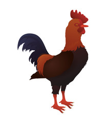 rooster animal farm icon