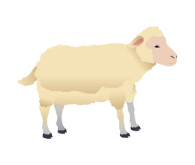 sheep animal farm icon