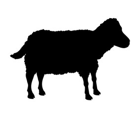 sheep animal farm icon