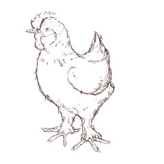 hen animal farm icon
