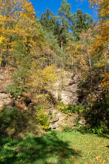 Fototapeta na wymiar forest landscape with rocks