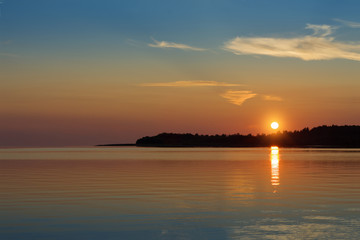 Reed on the background of a sunset