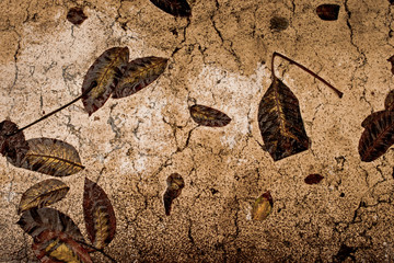 an autumn texture