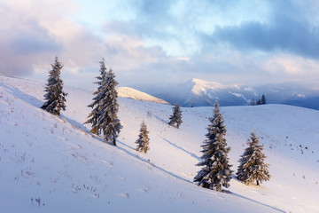 Fototapeta na wymiar Fantastic orange winter landscape in snowy mountains glowing by sunlight. Dramatic wintry scene with snowy trees. Christmas holiday concept. Carpathians mountain, Ukraine, Europe