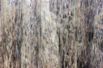 Obraz premium Old board with nails...