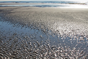 Textured Tidepool Background