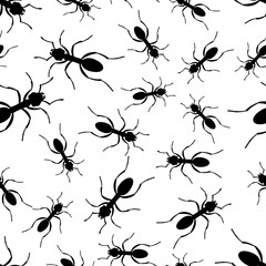 Black ant random pattern