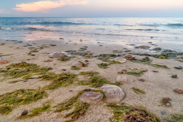Ostsee verschmutzte Strände