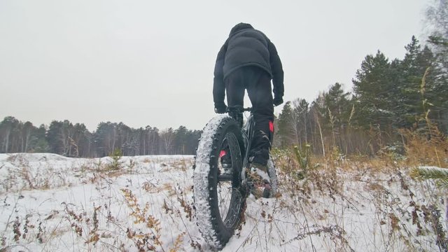 Professional extreme sportsman biker cool riding fat bike in outdoors. Extremal ride through an pine trees. Man does trick on mountain bicycle with big tire in helmet, glasses. Slow motion in 180fps.