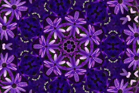 Mandala Calaidoscope _7804f