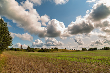 Fototapeta premium Dramatische Wolken über dem Feld