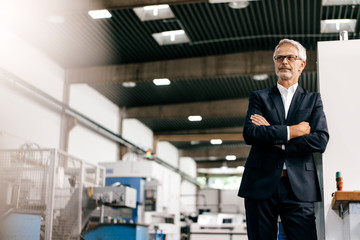 Portrait of a successful entrepreneur in his company