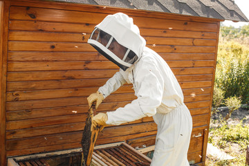 beekeeper pulls out from the hive a wooden frame with honeycomb. Collect honey. Beekeeping concept