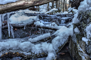 Snow covered frozen branches in a cold day near a small spring, Domorkapu, Hungary