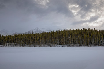 Snowy Day at Herbert Lake