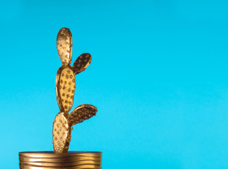 Golden cactus on blue background