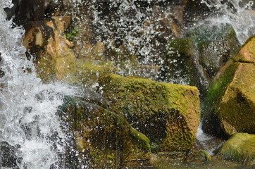 acqua