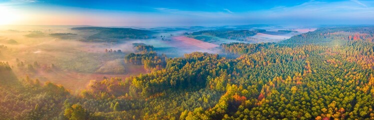 Aerial landscape with foggy sunrise over meadows and forest