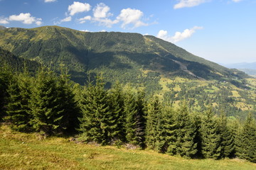 Summer landscape in the Carpathian Mountains (Romania).